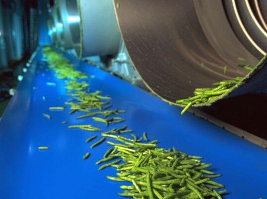 食品輸送帶，ReoClean 易潔帶可以輸送哪些食品