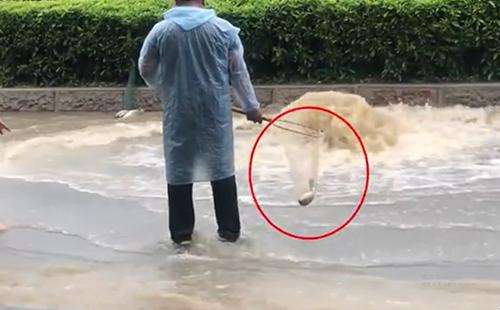 輸送帶廠家：廣州雨后內澇嚴重，路人當街捕魚