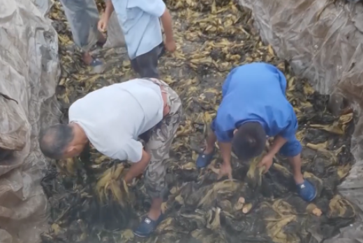 食品輸送帶：“土坑酸菜”11家企業(yè)復(fù)工，消費(fèi)者還買(mǎi)單嗎