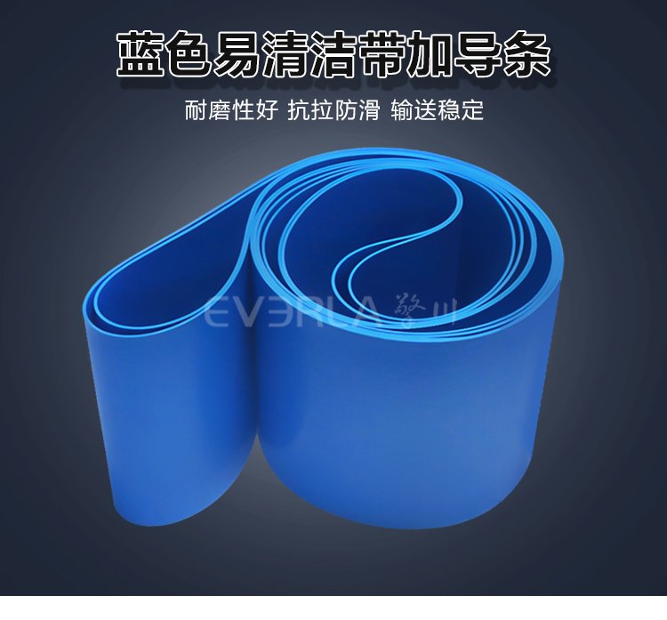 藍(lán)色易清潔輸送帶加導(dǎo)條.jpg